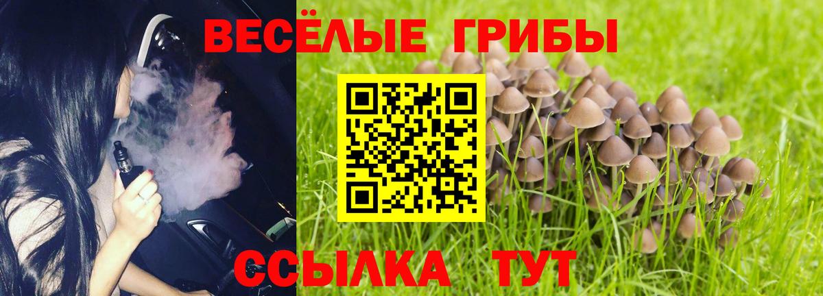 Галлюциногенные грибы прущие грибы  Вход с VPN  Бугуруслан 